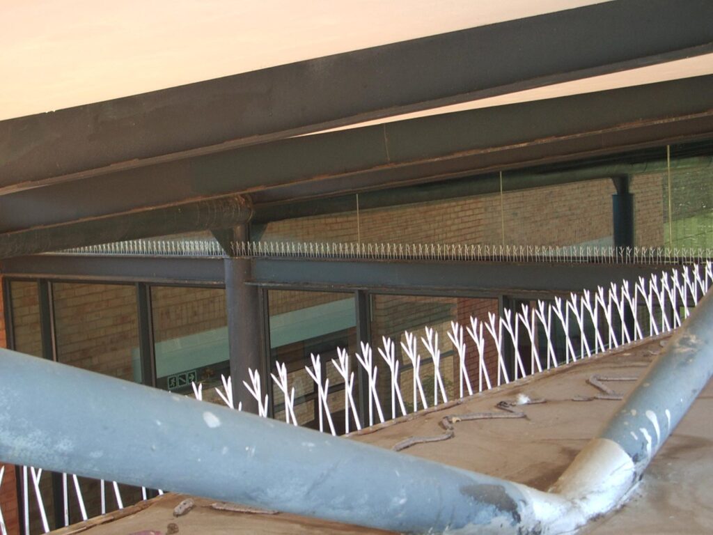 Bird spikes and bird repellent gel at a conference centre